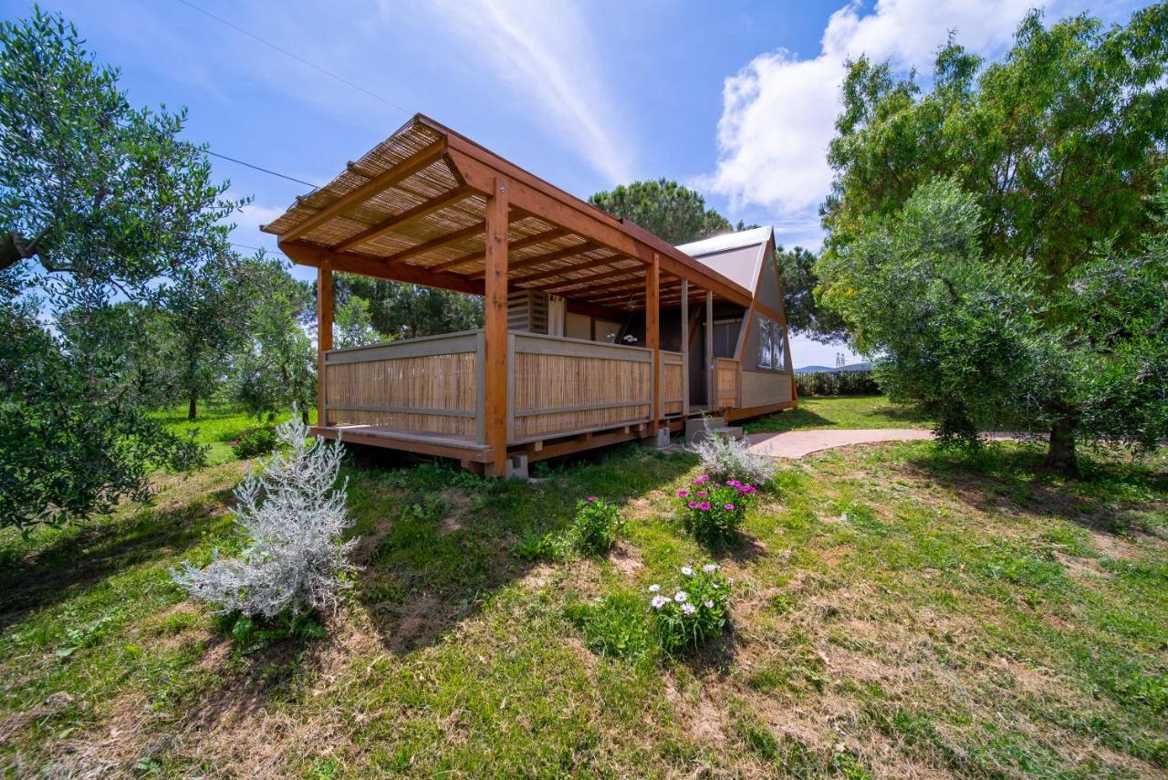 ホテル Glamping Gli Etruschi ピオンビーノ エクステリア 写真